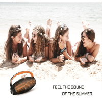 LOA ISOUND SP250B/2.0 (USB/SD/FM/REMOTE/BLUETOOTH/KARAOKE)